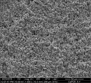 High-resolution images (1000X) of fractured Calcium Phosphate bars after sintering.